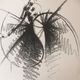PIERRE CARDIN: Superb fashion ILLUSTRATION press - end of the 1980s.