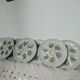 8 oyster plates in slurry by salins