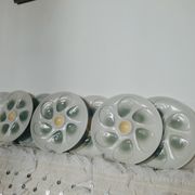 8 oyster plates in slurry by salins