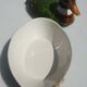 Earthenware duck signed Michel Caugant