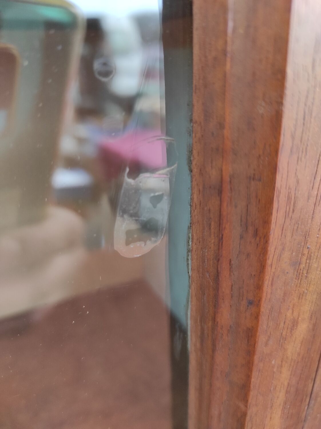 Showcase to pose nineteenth century walnut