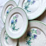 6 floral dessert plates