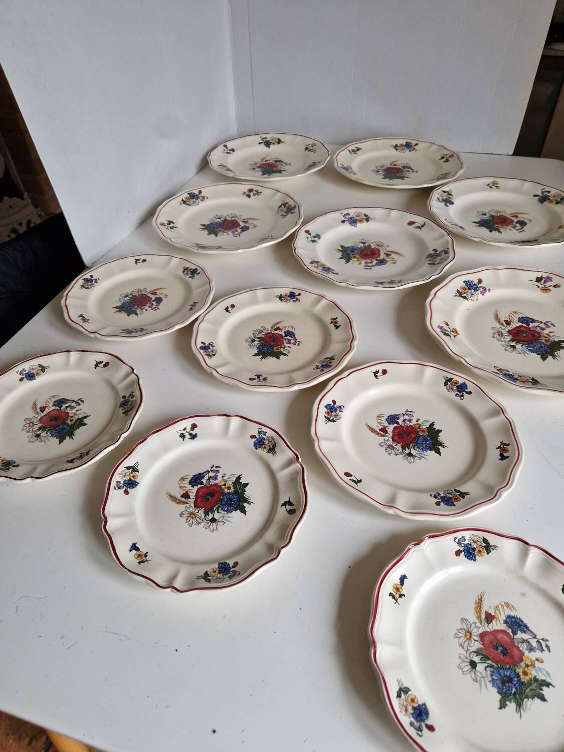 Set of 12 Sarreguemines Plates, Agreste Models