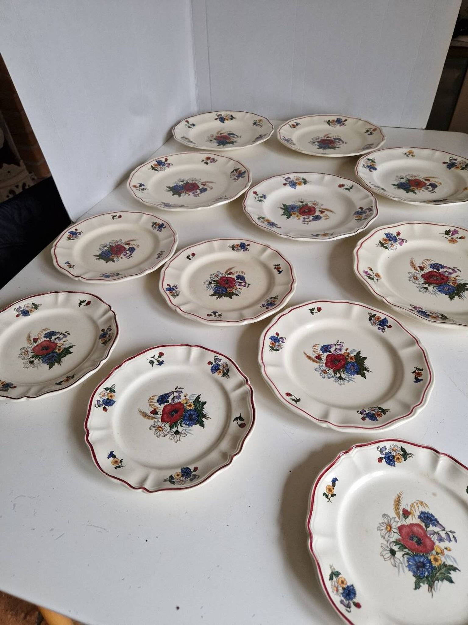 Set of 12 Sarreguemines Plates, Agreste Models