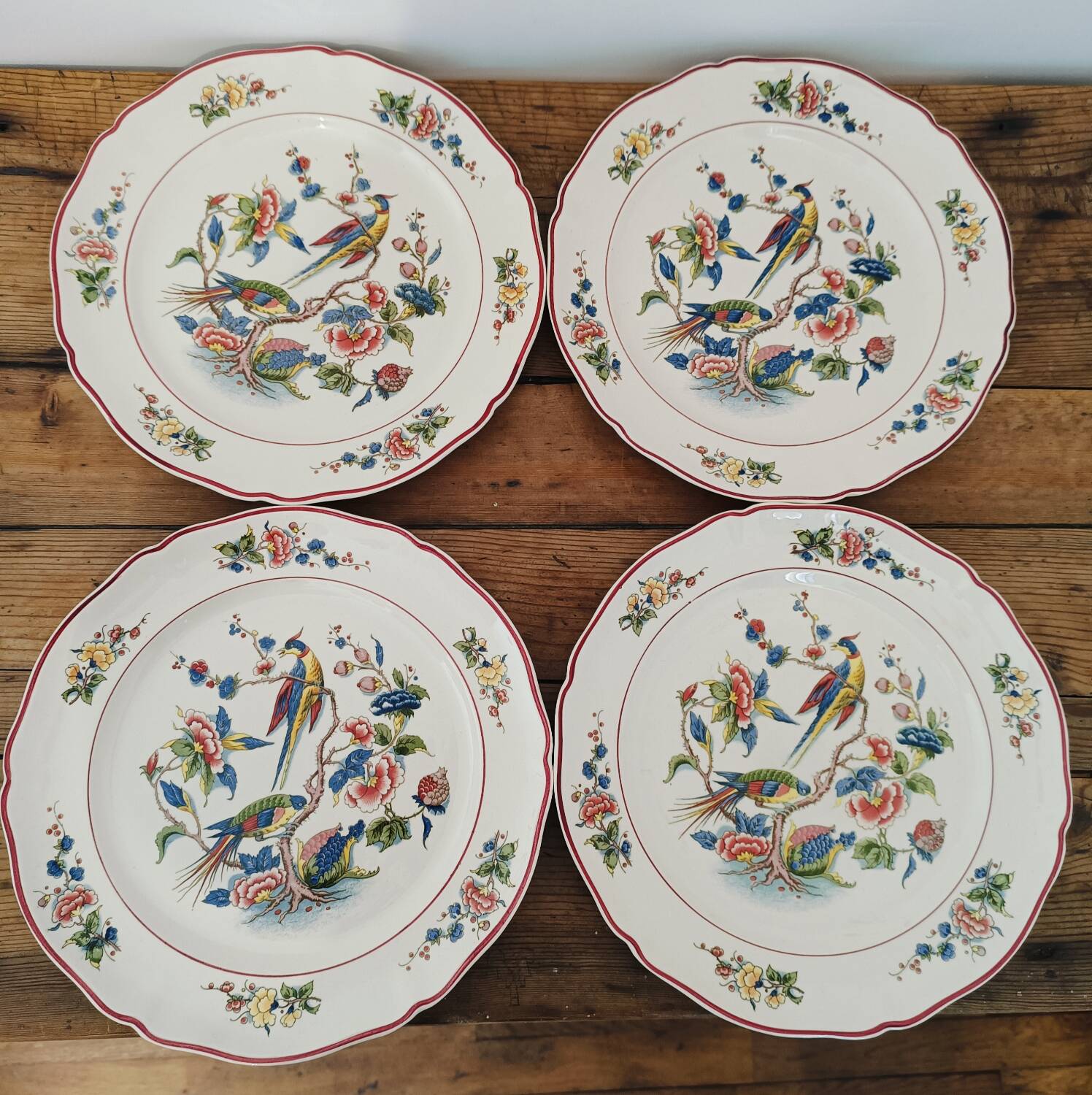 Villeroy & Boch “Phoenix” dinner plates