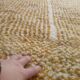 Handmade Moroccan rug, Berber wool rug 150/250cm.