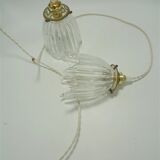 Pair of glass pendant lights