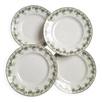 Assiettes plates vertes Moulin des Loups modèle Violetta