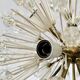 Dandelion Chandelier par Emil Stejnar pour Rupert Nikoll