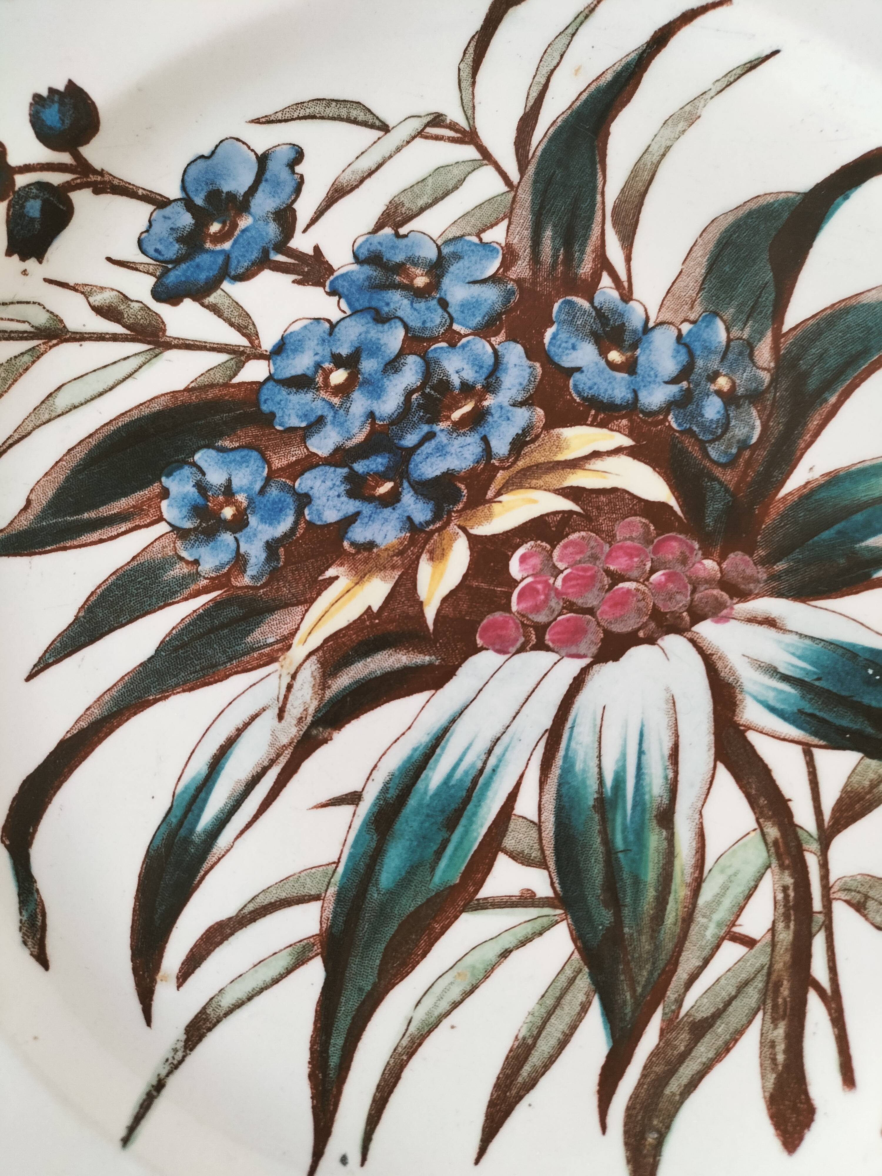 Sanejouand & Graves Clairefontaine plate, polychrome Tavia decoration