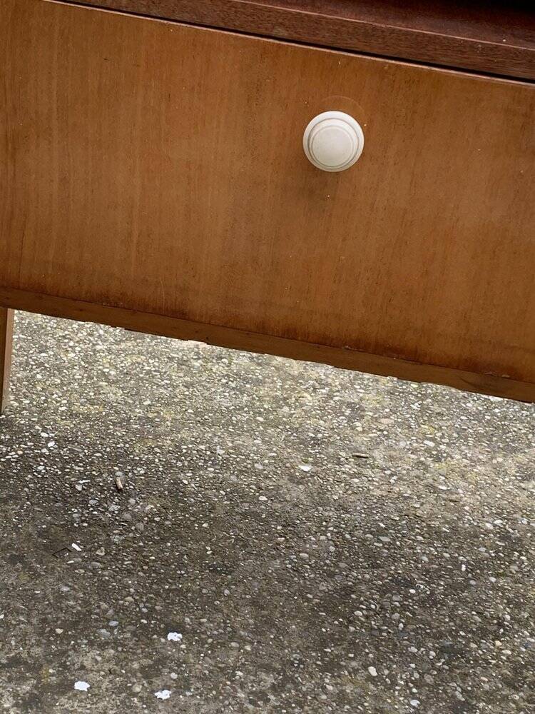 Mid-Century Nightstand by Varia, 1950s