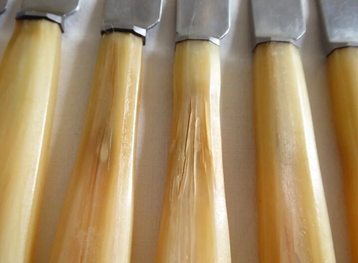 12 fruit knives, dessert. horn handle. length 19 cm