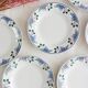 Set of 8 Saint-Amand flat plates, floral decoration