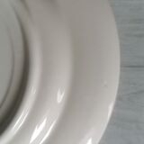 Assiettes Art nouveau Primula