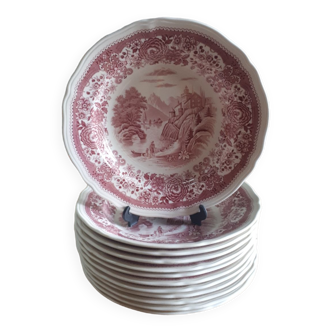 Burgenland pink soup plate series