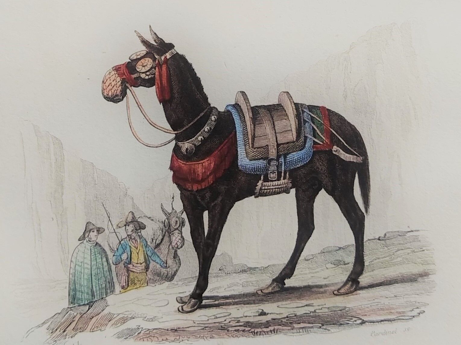 Original zoological plate "zebra & mule" - buffon 1840