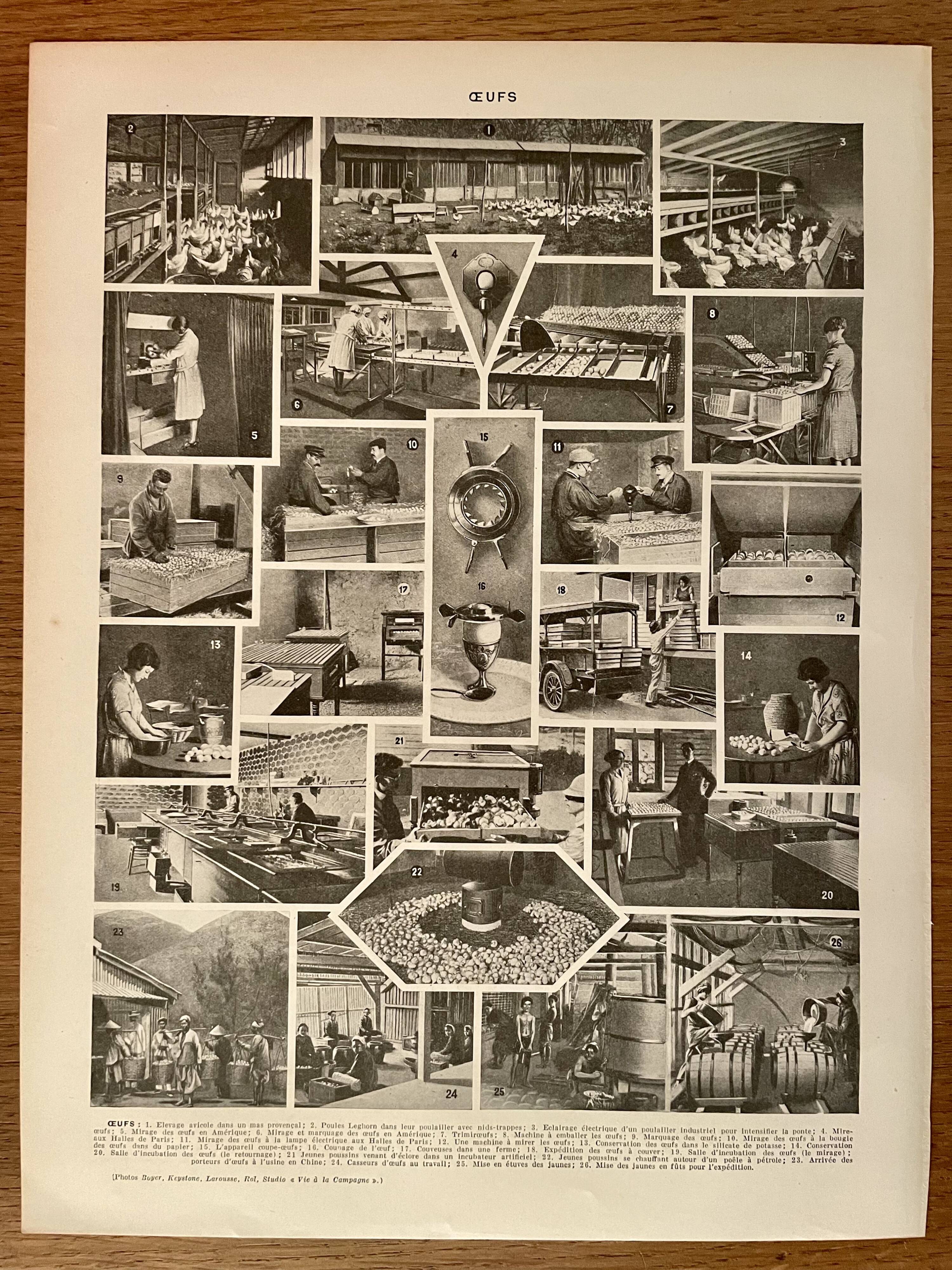 Lithograph on eggs - 1920