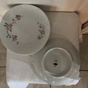 dinner plates