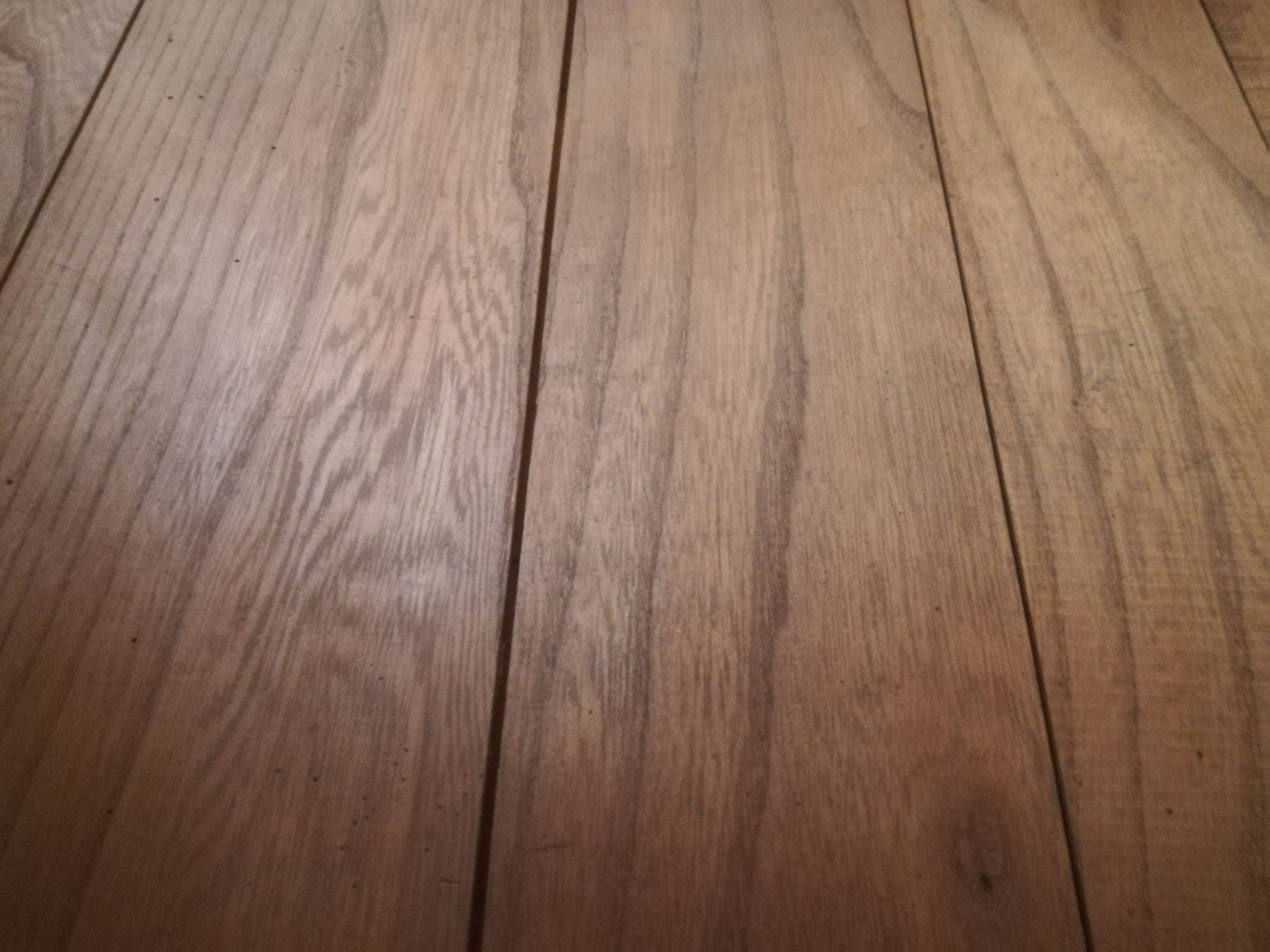 Art deco showcase counter in elm