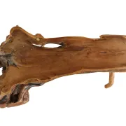 Large sculptural root wood coffee table – circa 1970