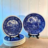 Villeroy and Boch Rusticana Plates
