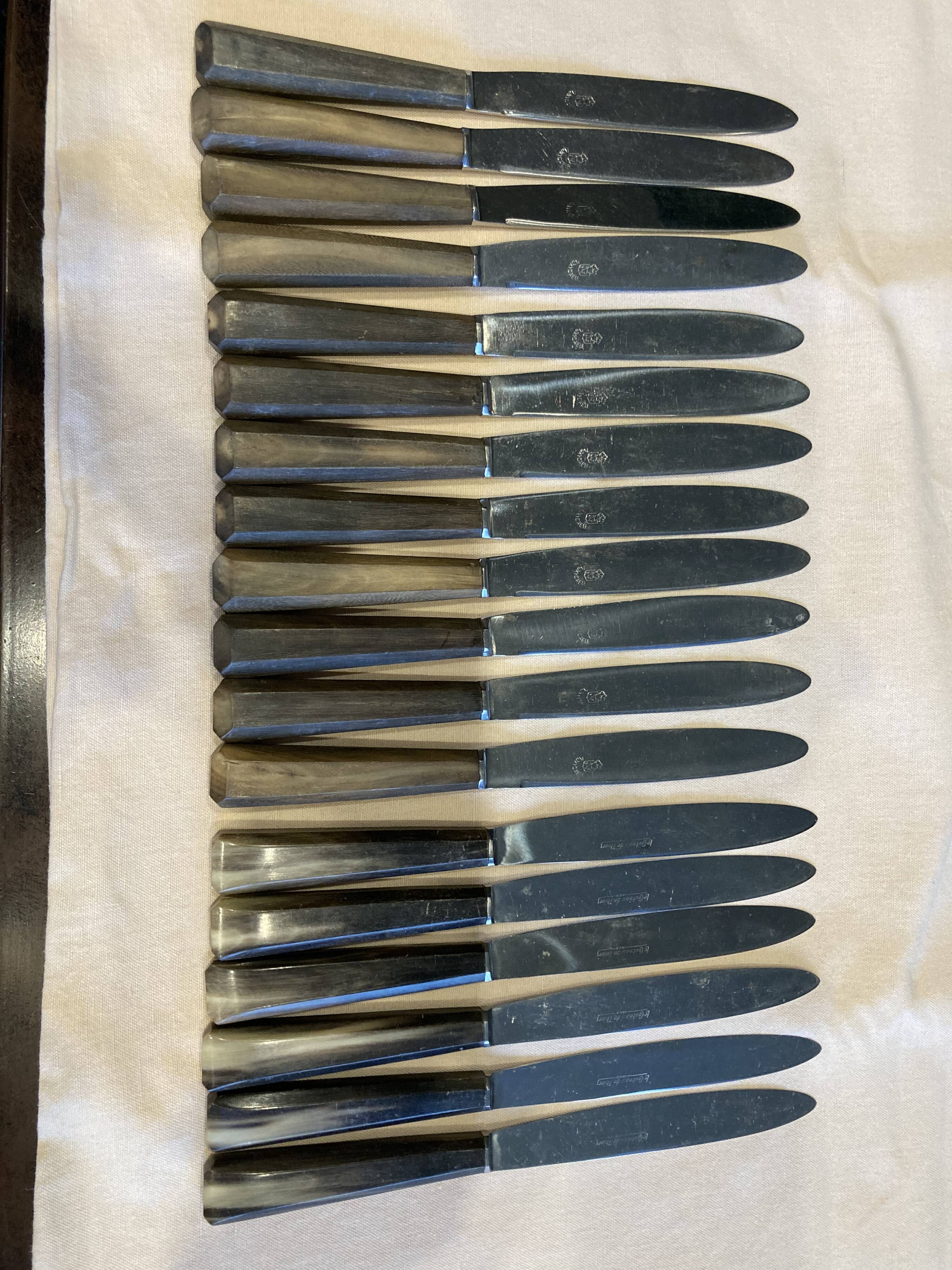 Series of 18 knives (12+6) horn handles