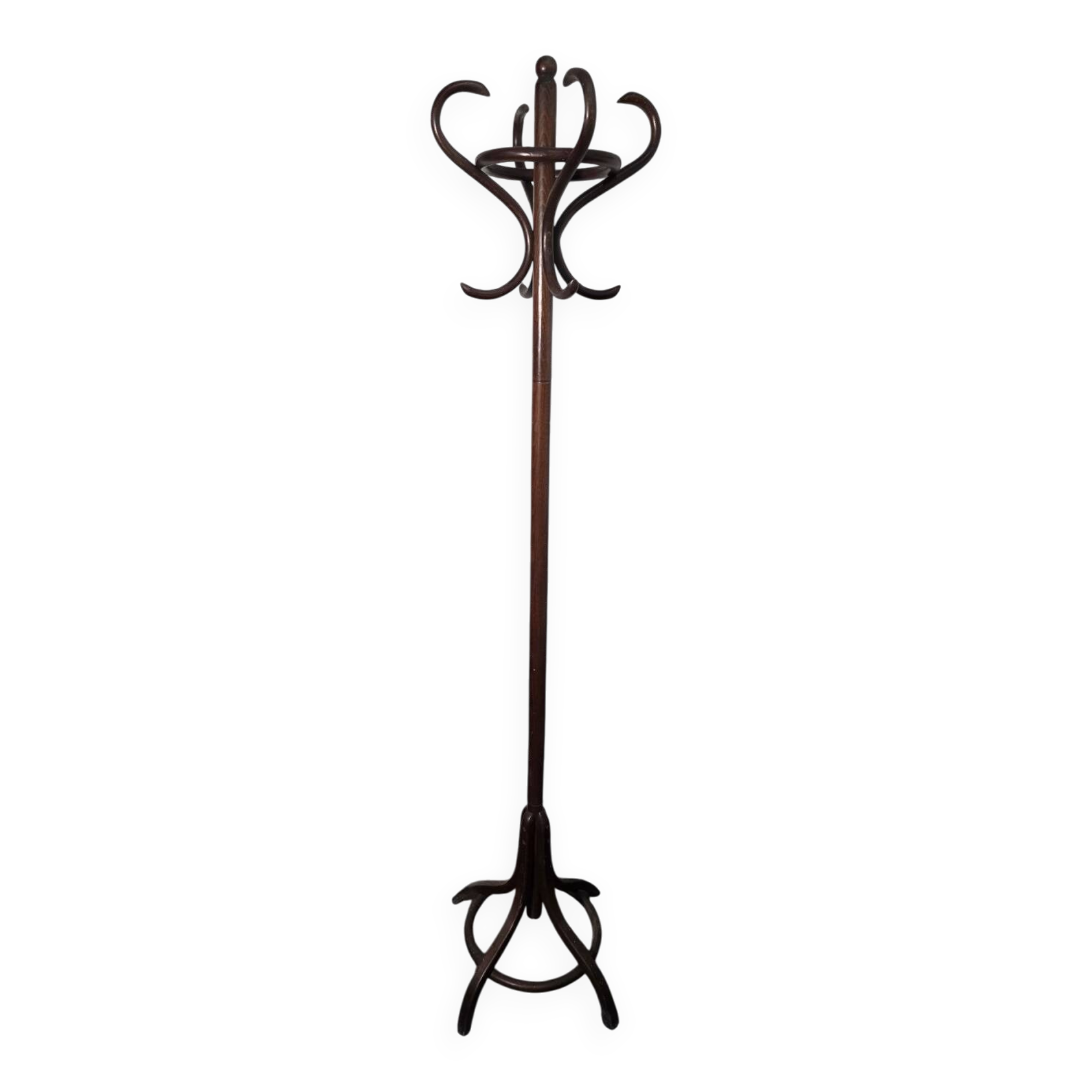 Perroquet ancien en bois courbé