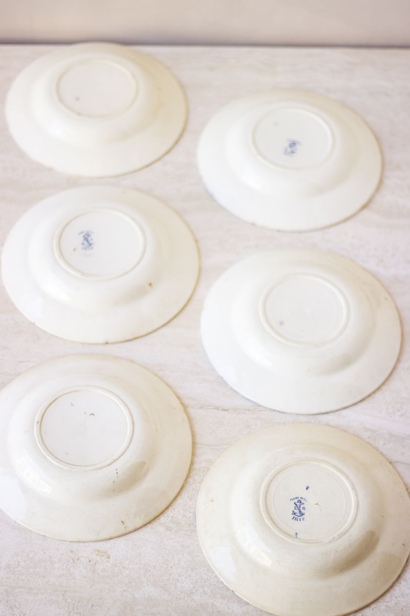 Set of 6 hollow plates earth of iron