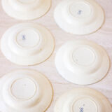 Set of 6 hollow plates earth of iron