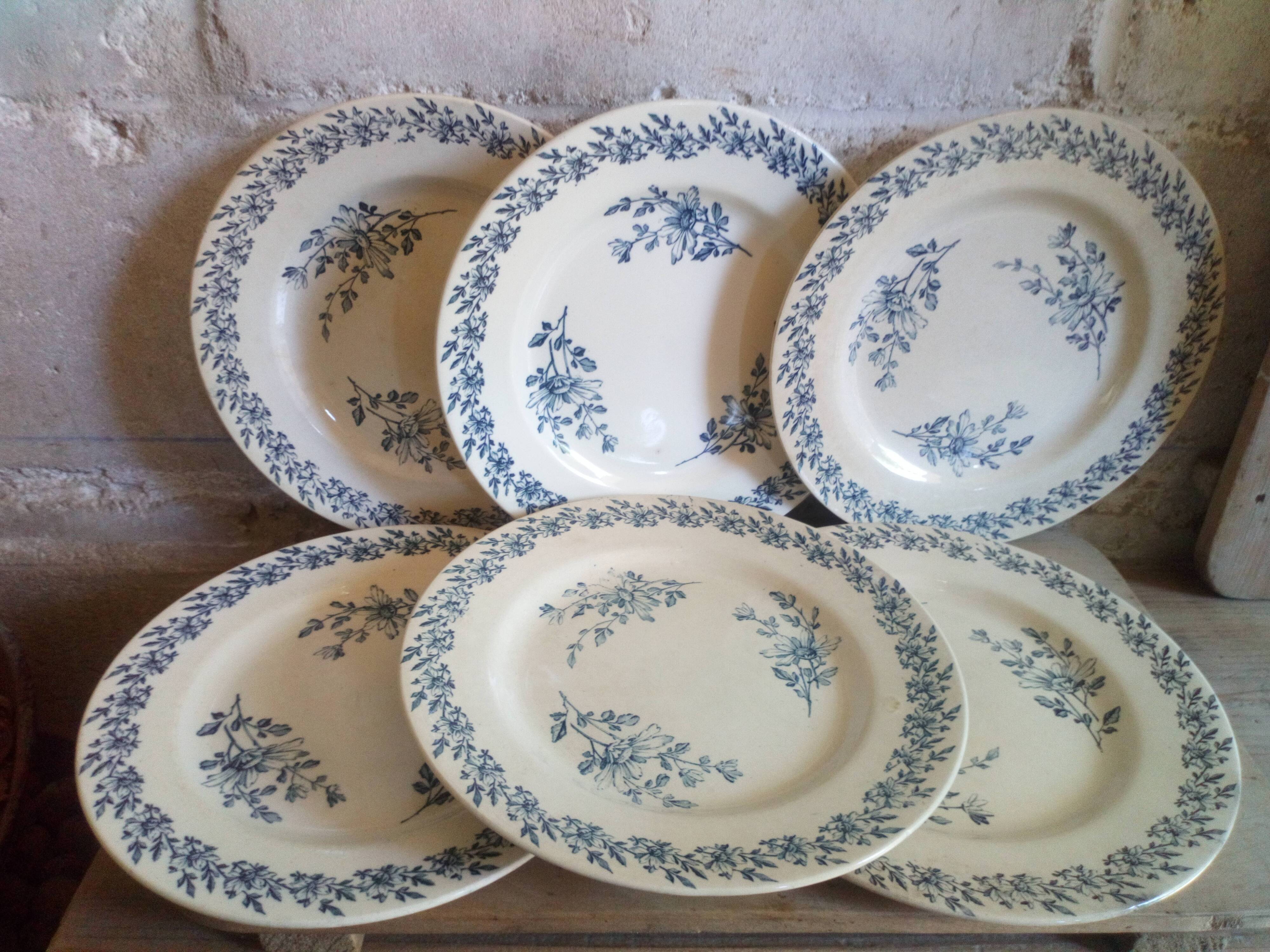 Six old plates made of lednéville iron soil from the "paquerette" sevice