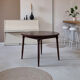 Mid-century dining table
