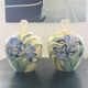 Paire de pieds de lampes italiennes décor iris