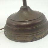 Old brass with tulip gooseneck light