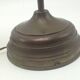 Old brass with tulip gooseneck light