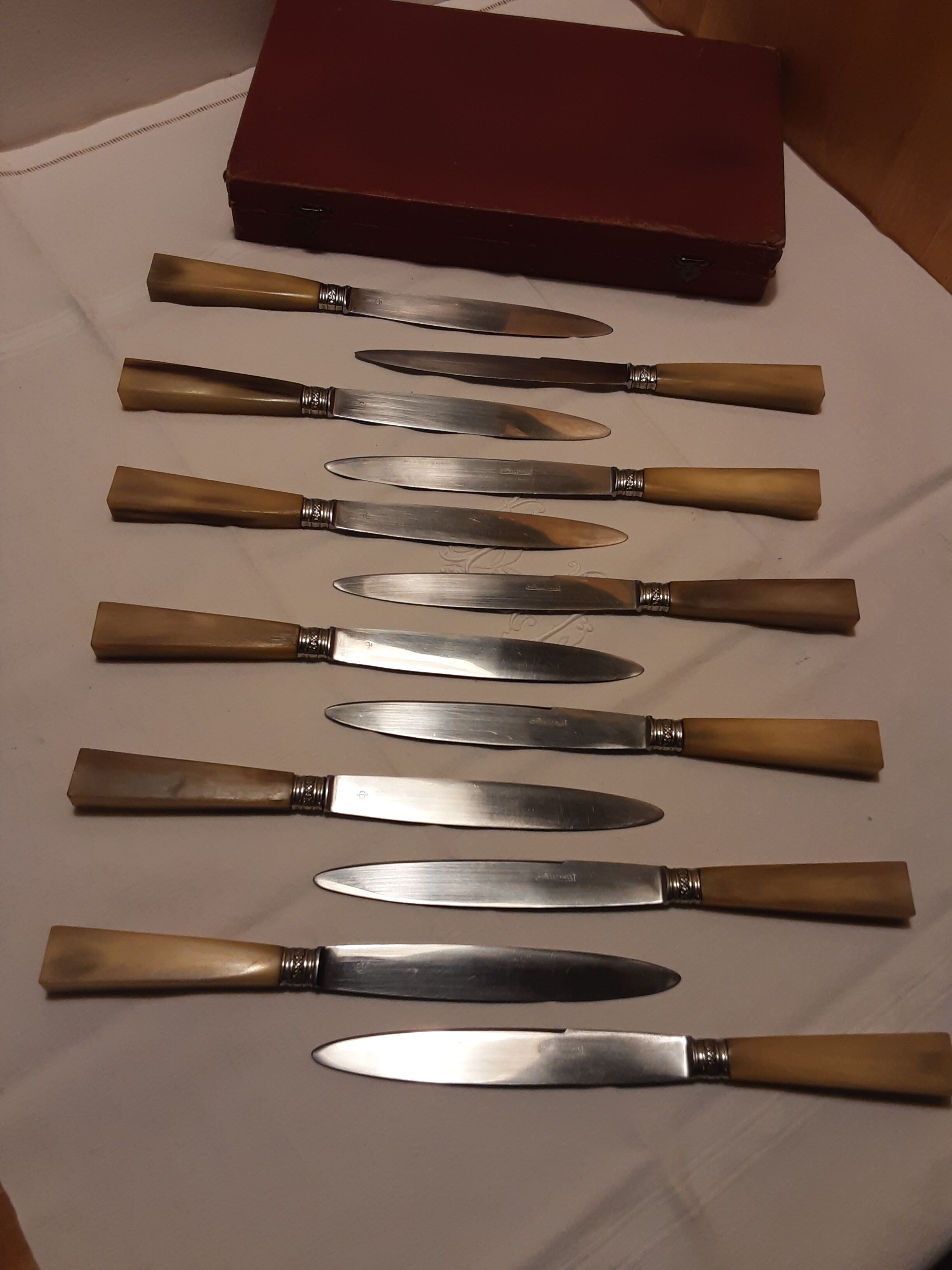 Hatch of 12 knives handle in horn and stainless steel blade