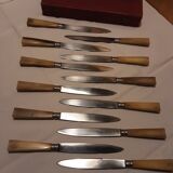 Hatch of 12 knives handle in horn and stainless steel blade