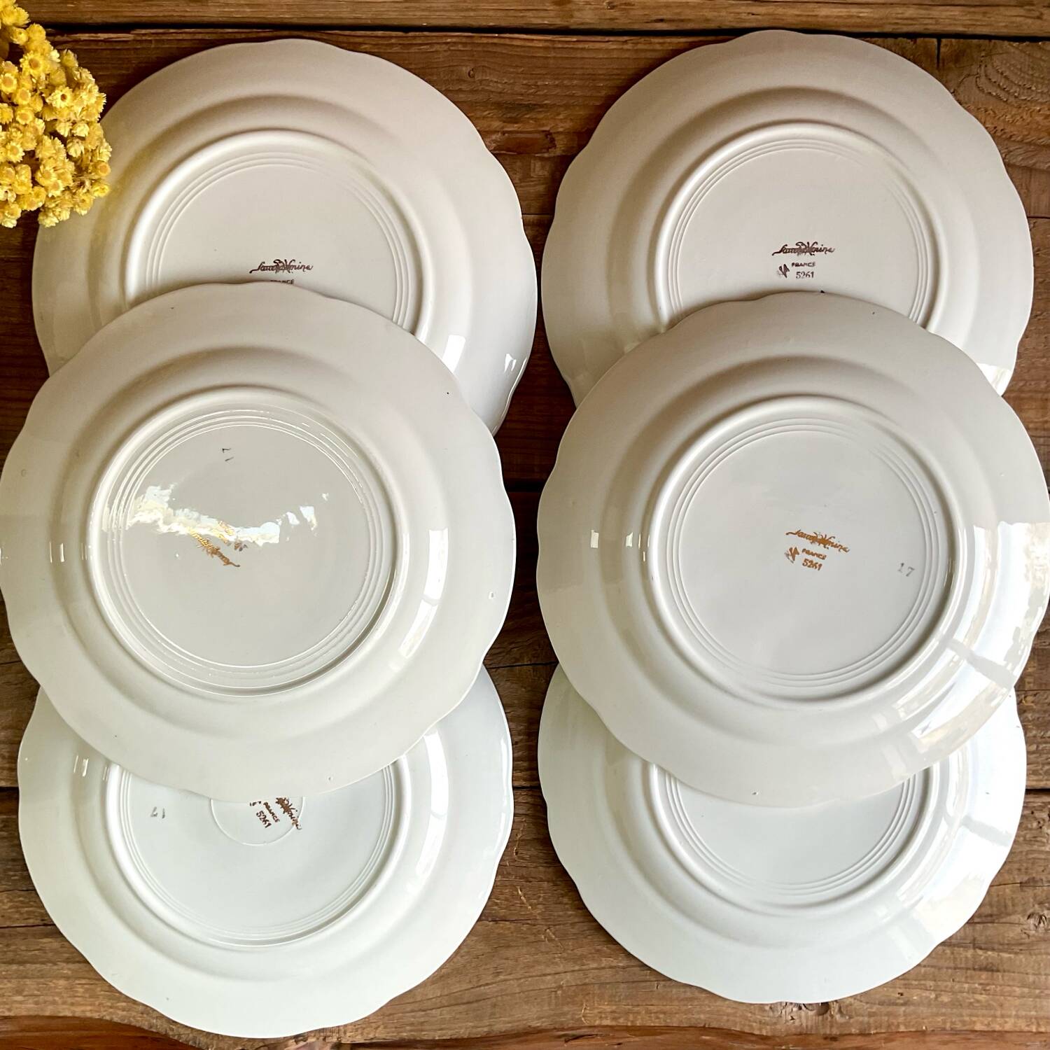 6 Sarreguemines plates
