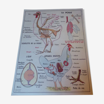 Tableau pédagogique