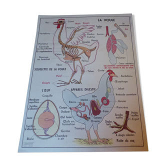 Tableau pédagogique