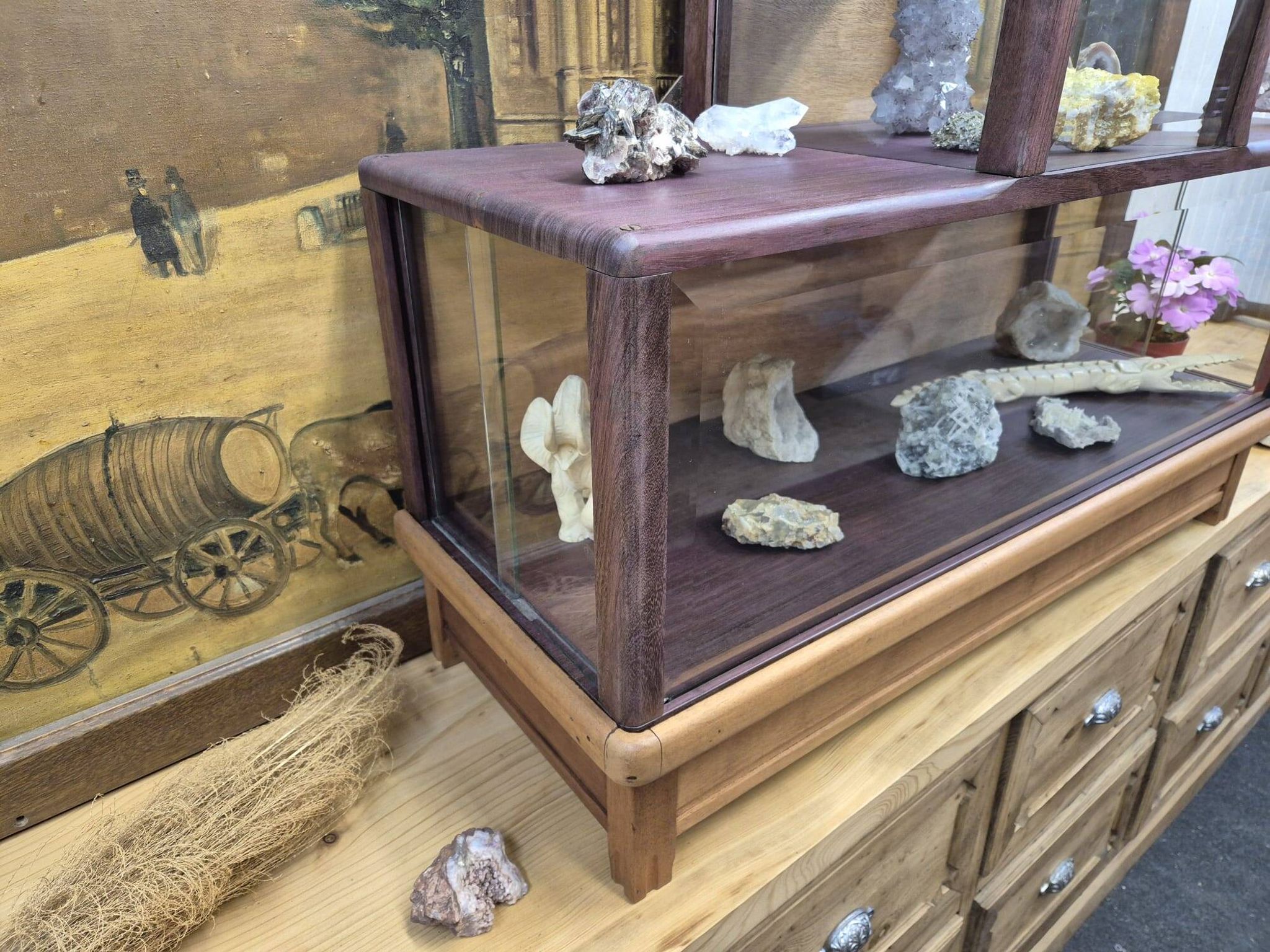 Antique amaranth display cabinet from the 1930s.