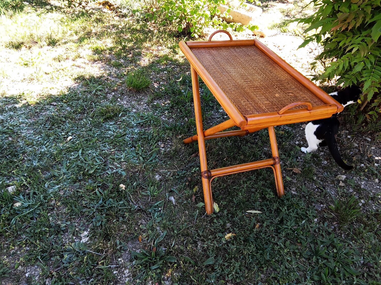 Bamboo and rattan service