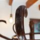 parrot coat rack