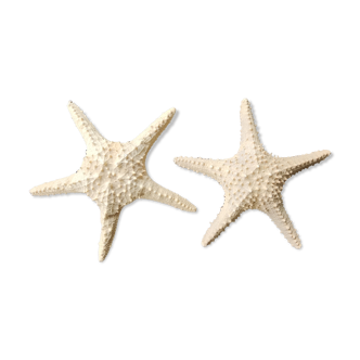 Starfish