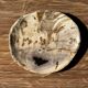 Petit vide poche ou plat en bois pétrifié beige tache noire D20x17 -3316