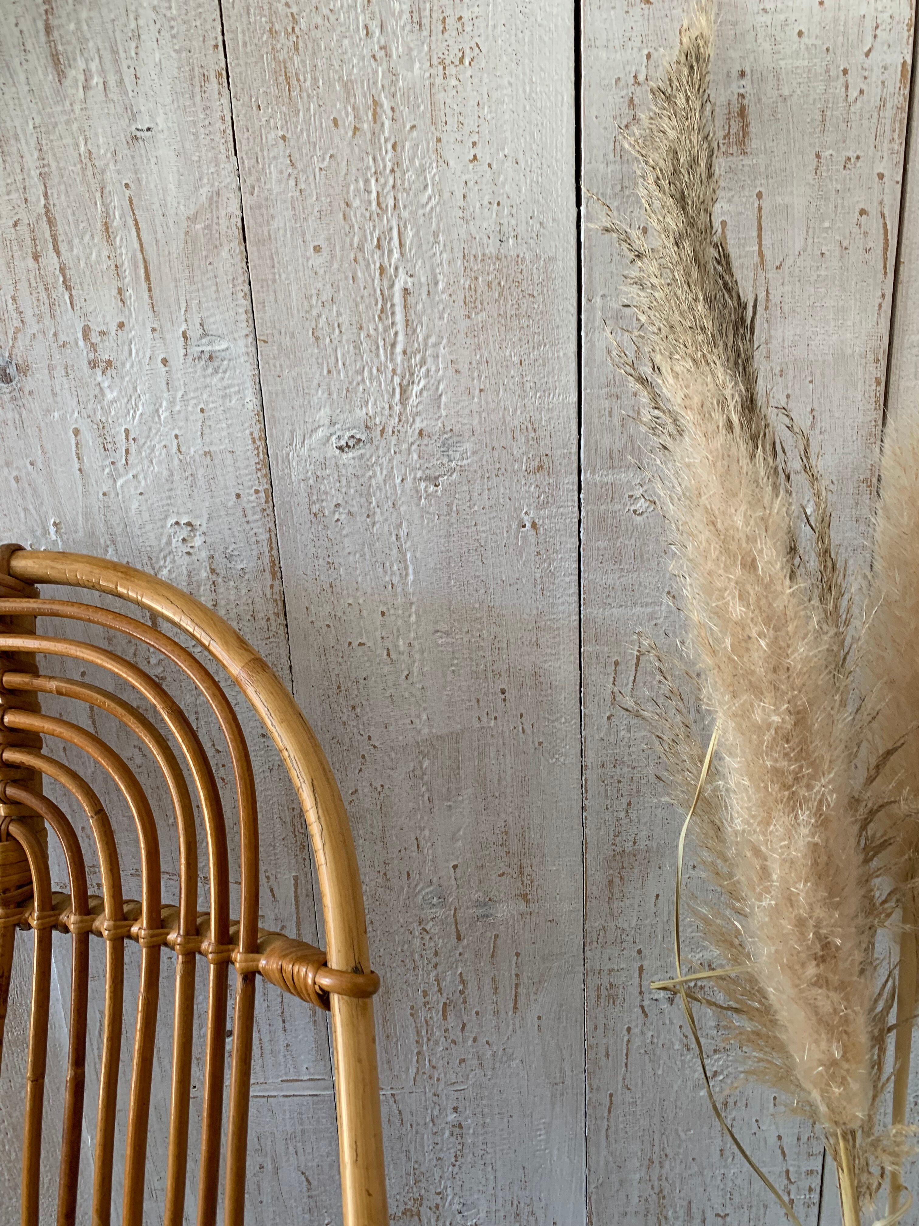 Pair of rattan armchairs