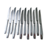 Box of 12 dessert or fruit knives in monoblock stainless steel Art Deco style