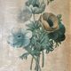 Lithographie de planche botanique de PJ Redouté