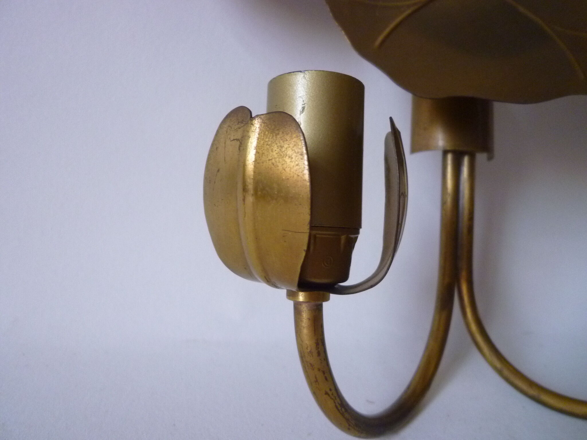 Double water lily wall light in brass