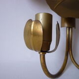 Brass double water lily wall lamp