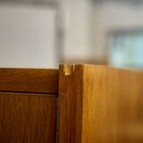 Armoire du milieu du siècle Jiroutek U486